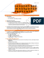 22) Regulación Del Flujo Sanguíneo Coronario, IAM, Valvulopatías, Insuficiencia Cardíaca