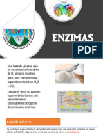 Enzimas 19