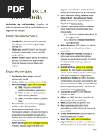 Historia de La Histología Resumen