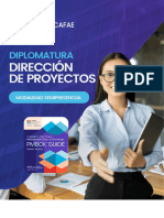 Direc. Proyectos Broch