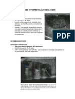 Patologia Testiucular 2