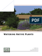 Watering Native Plants