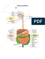 Hepatomegaly