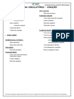 Roteiro e Atividade de Sist - Circulatório