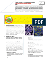 Ficha N°03-Reino-Monera