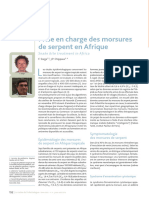 PEC Morsure Serpent en Afrique