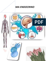 Doc. 1 Psicólogia - Sistema Endocrino