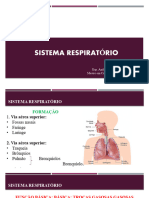 Sistema Respirat Rio Ó: Natacha Pinheiro