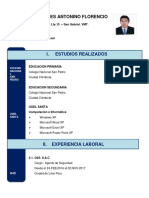 01.-Curriculum Vitae - en PDF - Documentado - Seguridad-Viproseg