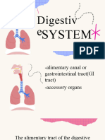 Bio2 Digestive Embradura