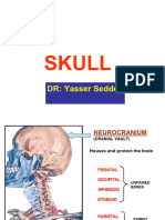 Skull (2) - 1