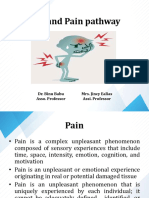 Painpathway 220321084524