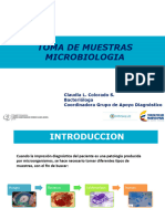 Muestras para Analisis de Lepra