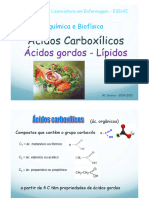 Acidos Gordos - Lipidos