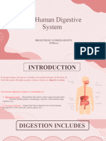 The Human Digestive System