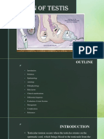 Torsion of Testis