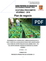 Plan de Negocio de Palto