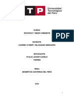 Semana 15 Redaccion Del Borrador Del Informe