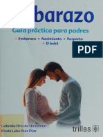 Embarazo - Guia Practica para Padres - Gabriela Oria de Quinzanos, Maria Luisa Ruiz Diaz - 2019 - Anna's Archive