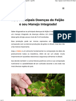 As 9 Principais Doenças Do Feijão e Seu Manejo Integrado! AgroPós