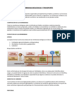 Tema #3 - Membranas Biologicas y Transporte