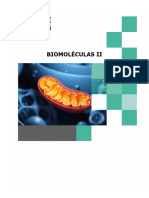 1.3 Biomoléculas II - BC