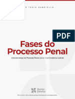 Ebook Processo Penal