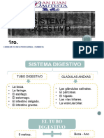 10-Sistema Digestivo-1