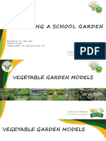 Vegetable Garden Models Establishing Schools