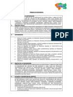 TDR ESPECIALISTA ESTRUCTURAS Y OBRAS DE ARTE - Irving JU-104