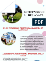 Biotecnologia de La Vaca