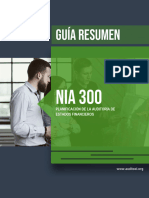 NIA 300 - Planificación de La Auditoría de Estados Financieros