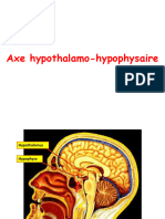 Axe Hypothalamo Hypophyse