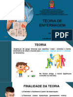 Aula 2 - Teoria de Enfermagem