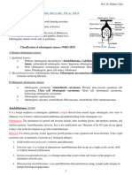 Odontogenic Tumors 2024