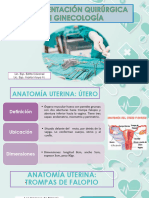 Exposición Ginecología 2023