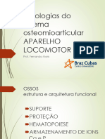 Patologias Dos Sistemas Ósseo Músculo Tendíneo PDF