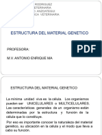 Estructura Del Material Genetico