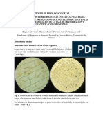 Informe 2 FV 1-2-3-4