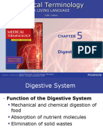 Digestive System