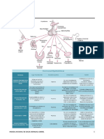 Interna 2 - Endocrinologia