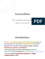 La Brucellose - 230711 - 112821