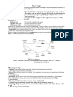 Types of Wing and Wing Coupling-1