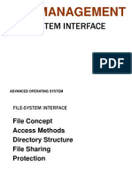 Report Hans-Lanie File-System Interface