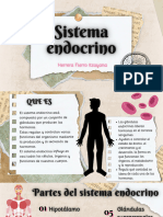 Sistema Endocrino - Herrera Fierro Itzayana