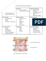 Semiologia Abdominal y Digestiva