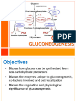 15 Gluconeogenesis