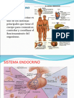 SISTEMAENDOCRINO