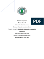 Proyecto 3er Parcial, Analisis Instrumental