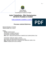 Ação Trabalhista - Rito Sumaríssimo 0010310-79.2022.5.15.0025